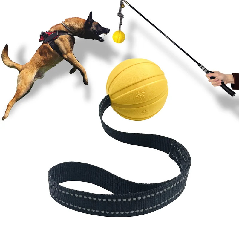 Dog Rope Toy Aggressive Chewers - Durable Dog Toy Balls on a