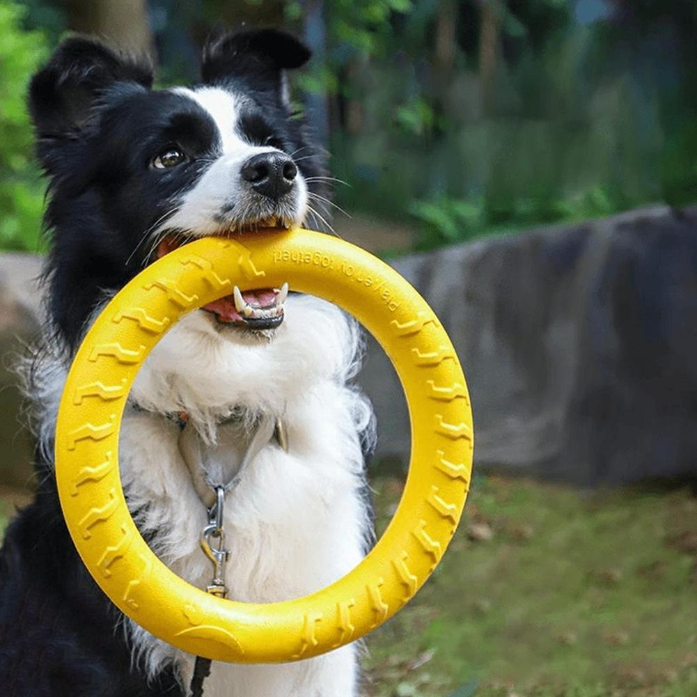 Indestructible Dog Chew Toy - Dog Ring Toys Indestructible Chewing Flying