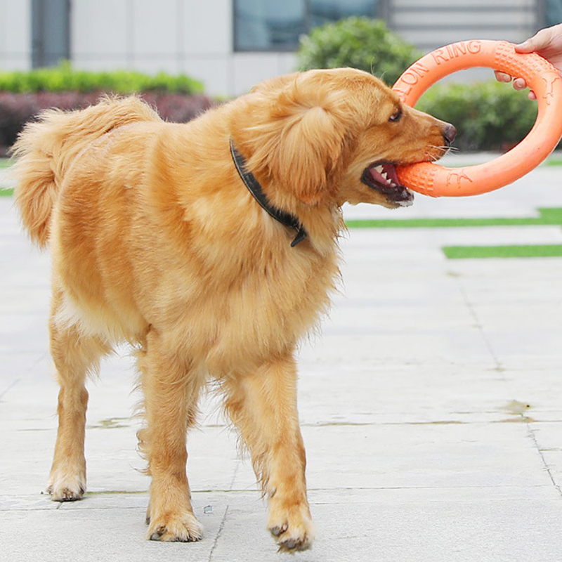 1pc Orange Dog Toys Pet Flying - Flying Disc Dog Training Toy recension och pris