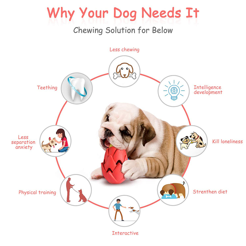 Benepaw Indestructible Pitaya  - Indestructible Dog Chew Toy recension och pris