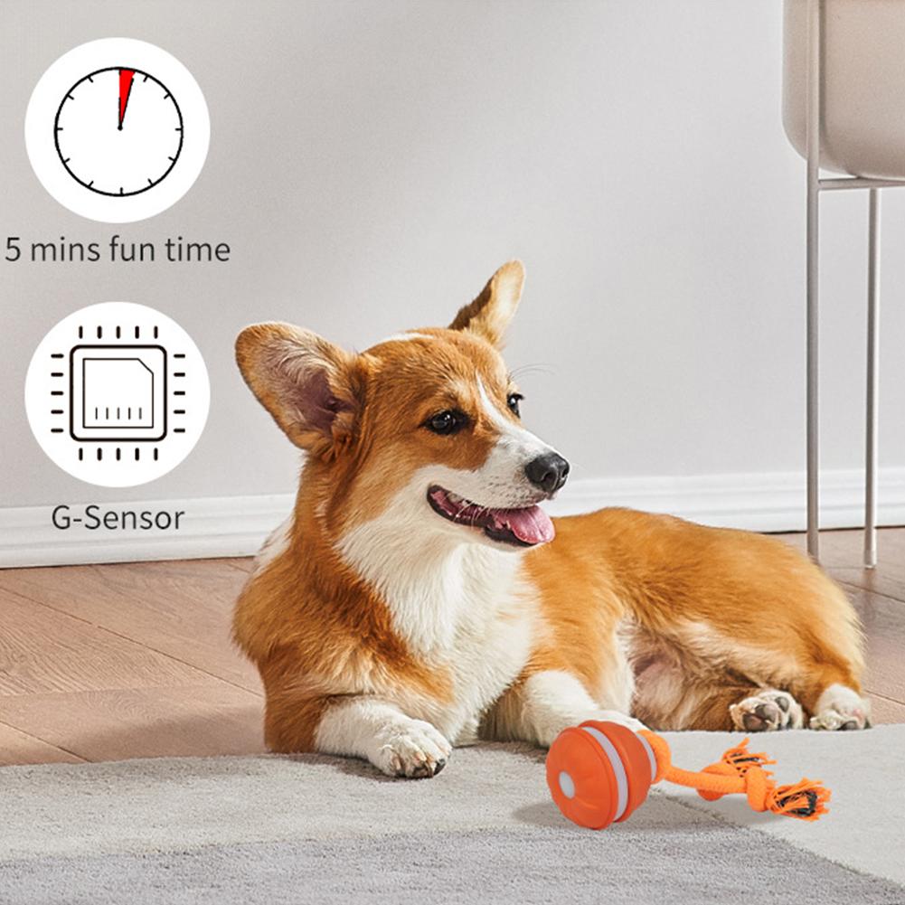 Pet Ball for Dogs Interactive  - Automatic Moving Dog Ball recension och pris