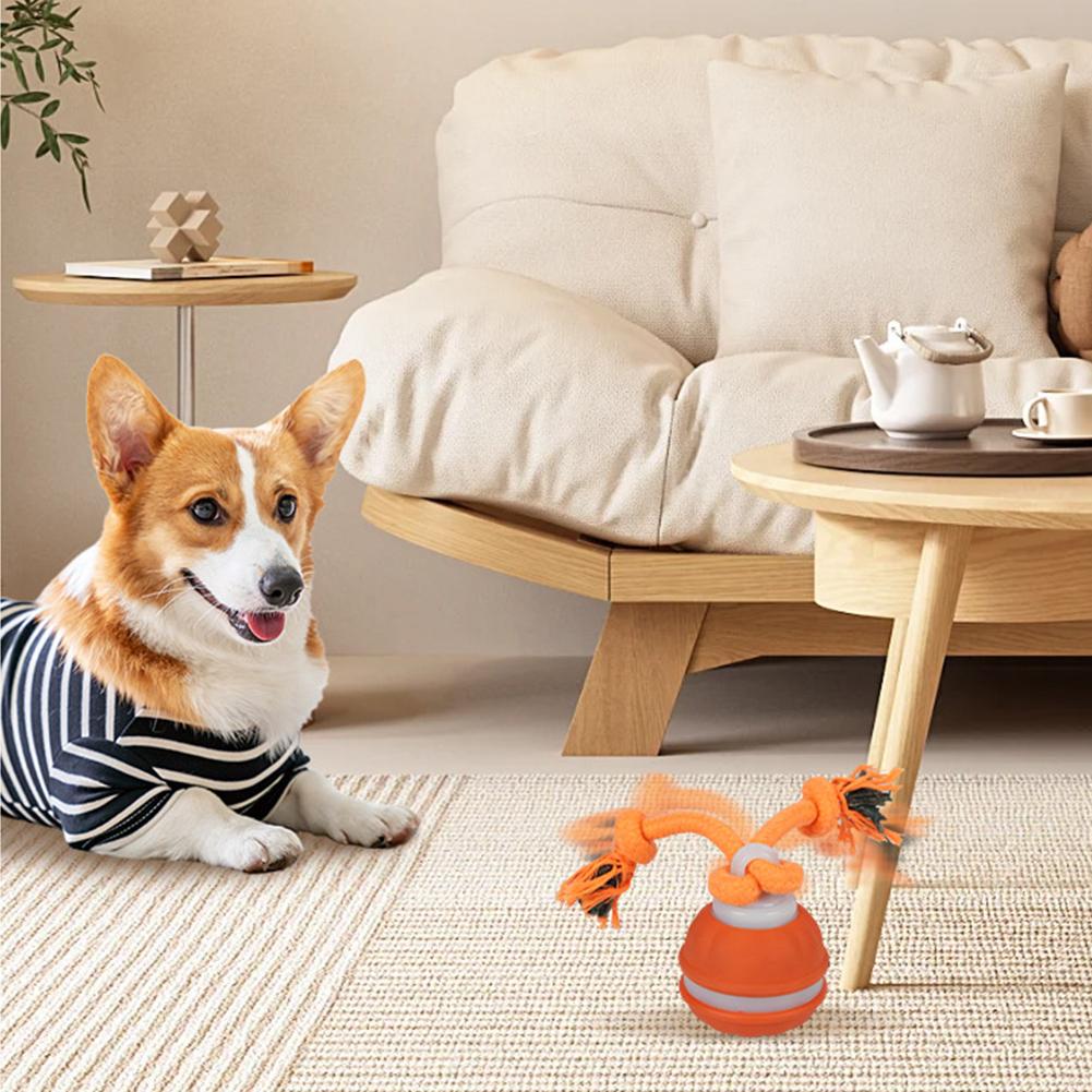Pet Ball for Dogs Interactive  - Automatic Moving Dog Ball recension och pris