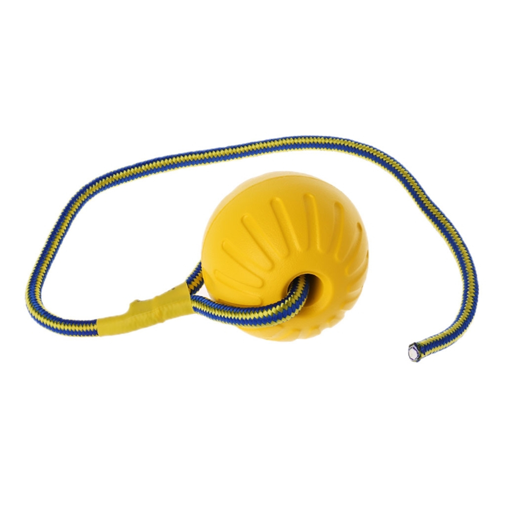 Dog Toy Ball with Rope Outdoor - Suction Cup Dog Tug Toy recension och pris
