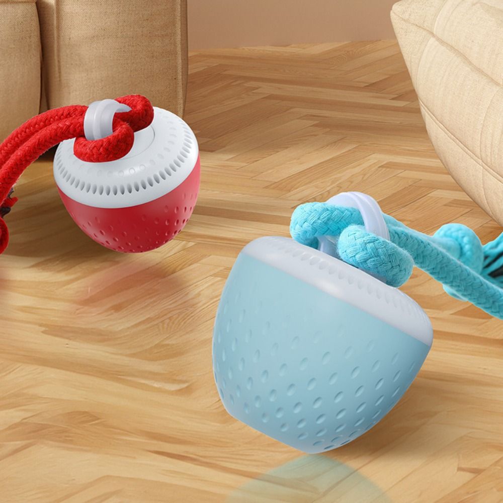Bite Resistant Smart Pet Toy B - Automatic Moving Dog Ball recension och pris