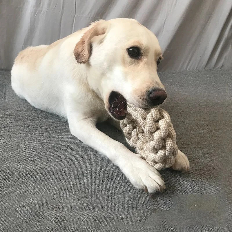 Durable Knotted Rope Toys for  - Dog Rope Toy Aggressive Chewers recension och pris