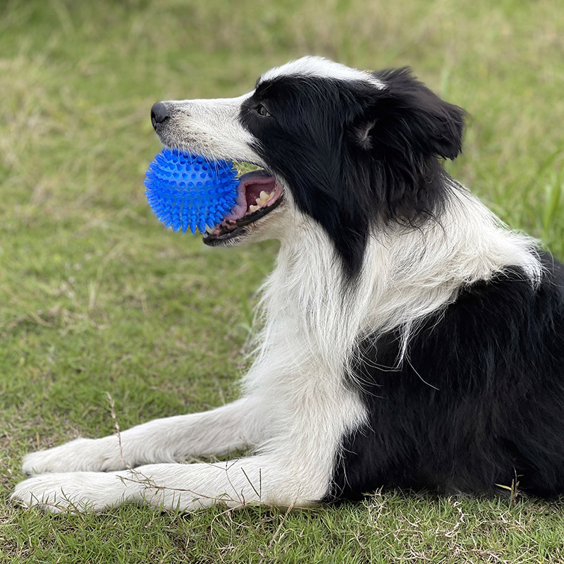 TPR Squeaky Pet Dog Chew Thorn - Interactive Squeaky Plush Dog Toy recension och pris