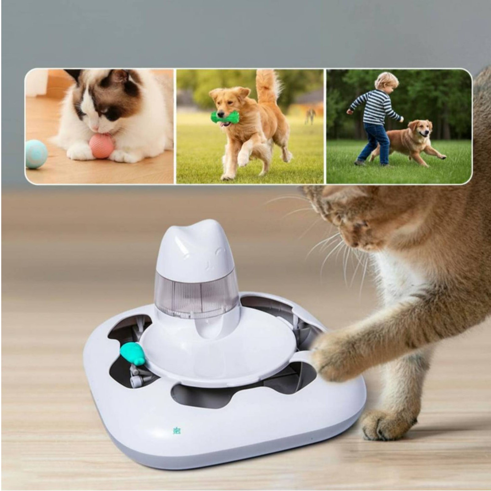 Cat Hunting Game Machine Inter - Cat Toys recension och pris