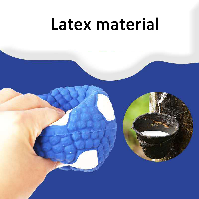 Pet dog toys  Latex soundtrack - Suction Cup Dog Tug Toy recension och pris
