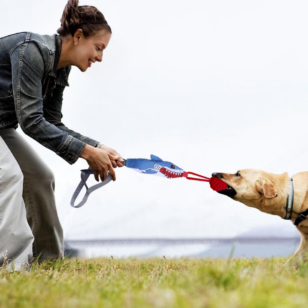 Shark Rope Tug Toy with Suctio - Suction Cup Dog Tug Toy recension och pris
