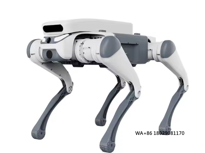 stunt remote control education - Dog Toys recension och pris