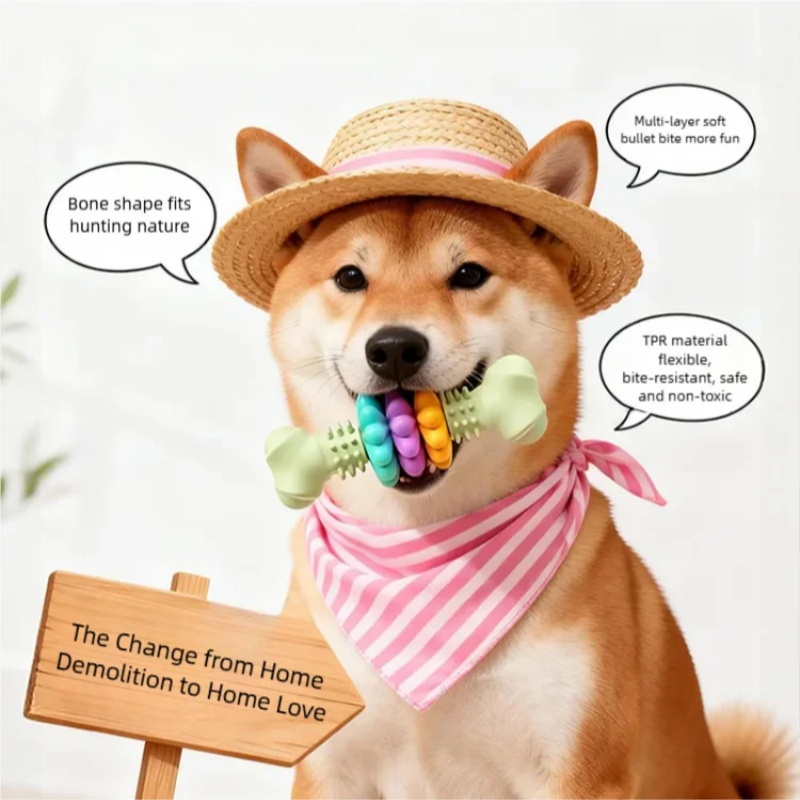 Durable TPR Dog Chew Toy Bone  - Teeth Cleaning Dog Chew Bone recension och pris