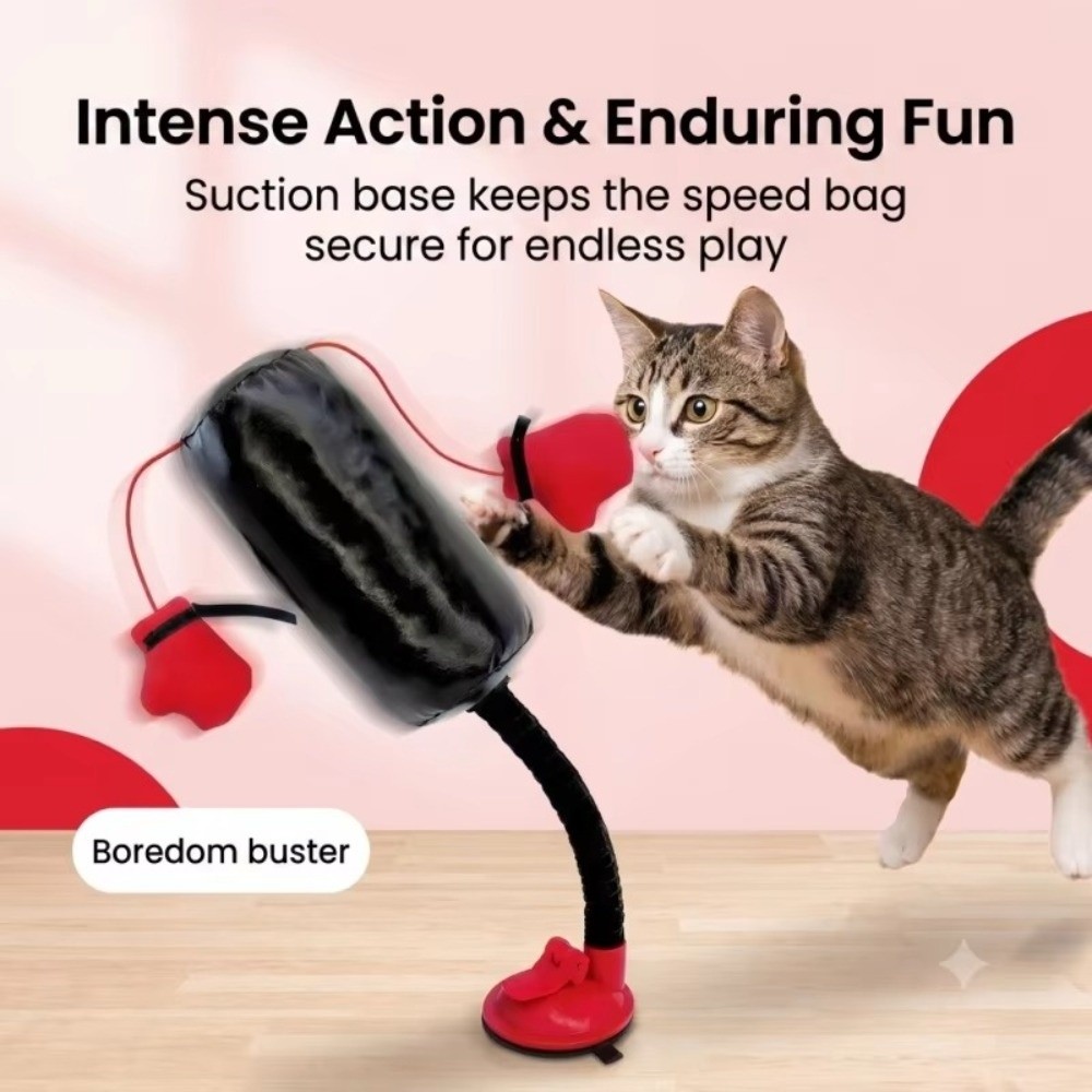 Suction Cup Base Cat Boxing To - Interactive Squeaky Plush Dog Toy recension och pris
