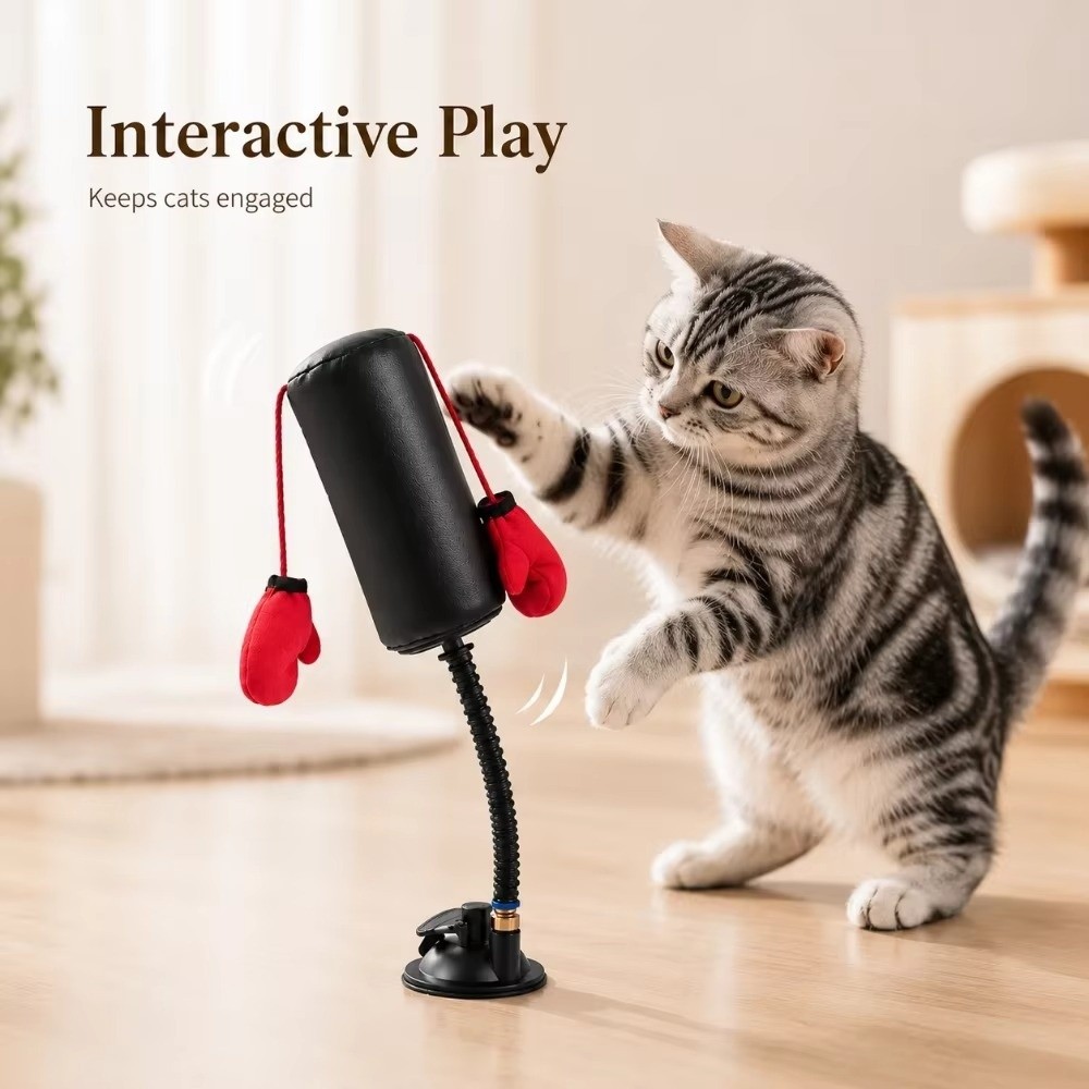 Suction Cup Base Cat Boxing To - Interactive Squeaky Plush Dog Toy recension och pris