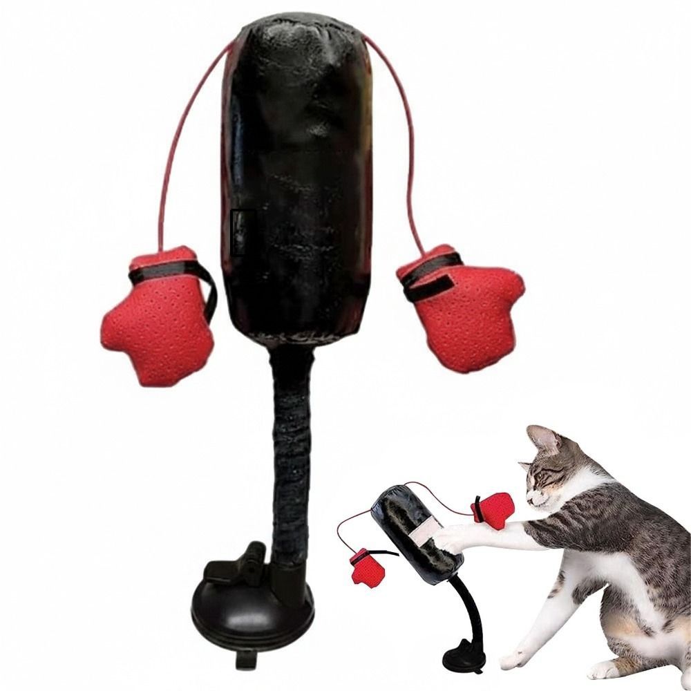 Suction Cup Base Cat Boxing To - Interactive Squeaky Plush Dog Toy recension och pris