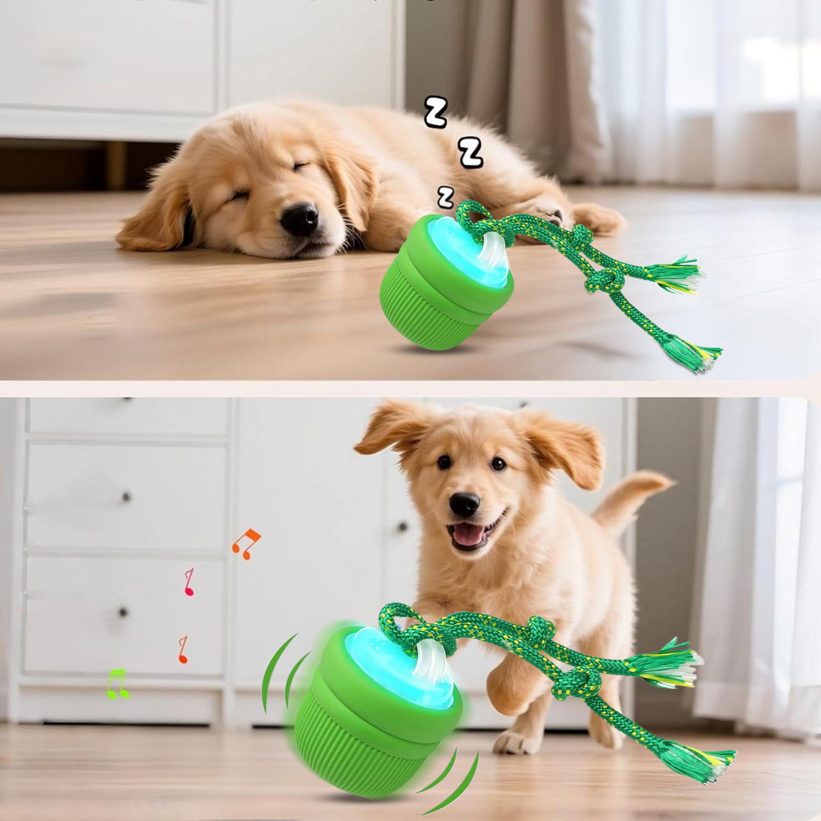 Interactive Dog Ball Automatic - Automatic Moving Dog Ball recension och pris