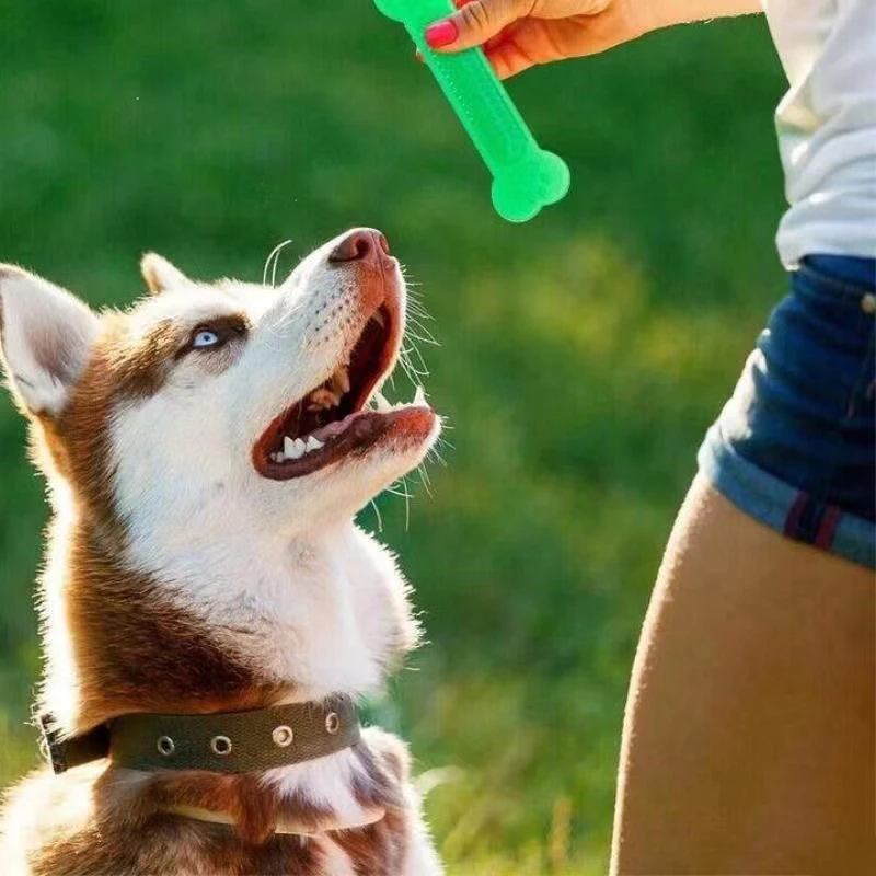 Super Tough Dog Bone Chew Toy  - Teeth Cleaning Dog Chew Bone recension och pris