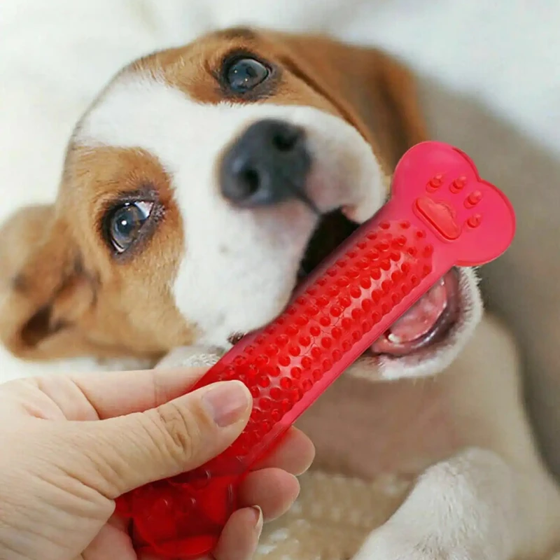 Super Tough Dog Bone Chew Toy  - Teeth Cleaning Dog Chew Bone recension och pris