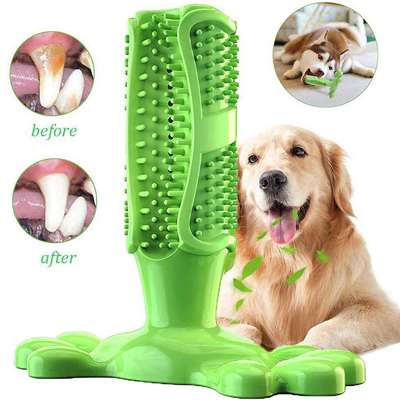 Pet Dog Cactus Interactive Rub - Rubber Treat Dispensing Dog Toy recension och pris