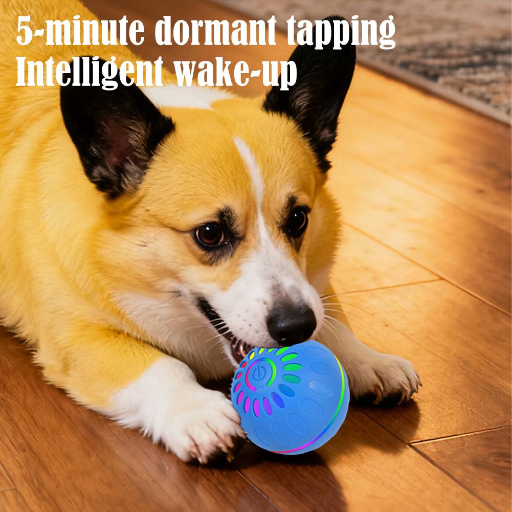 Smart Dog Toy Ball Automatic I - Automatic Moving Dog Ball recension och pris