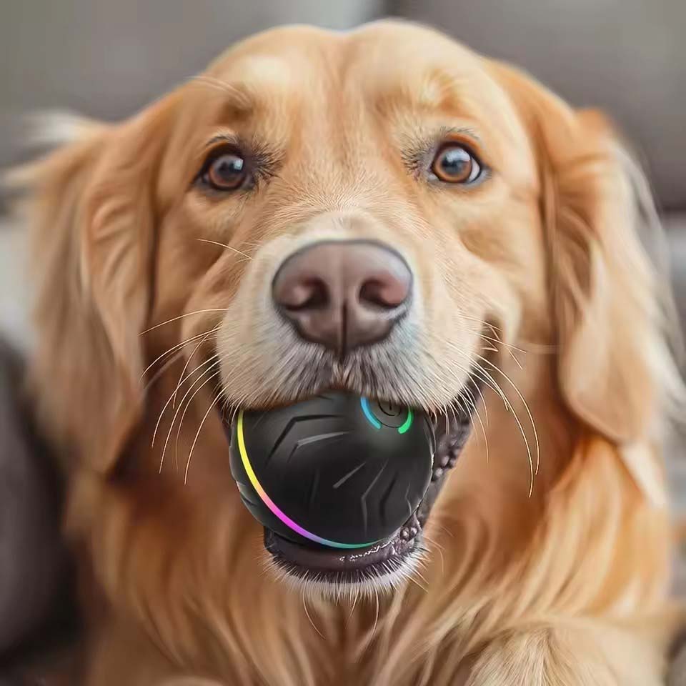 Interactive Smart Dogs Toys Ba - Automatic Moving Dog Ball recension och pris