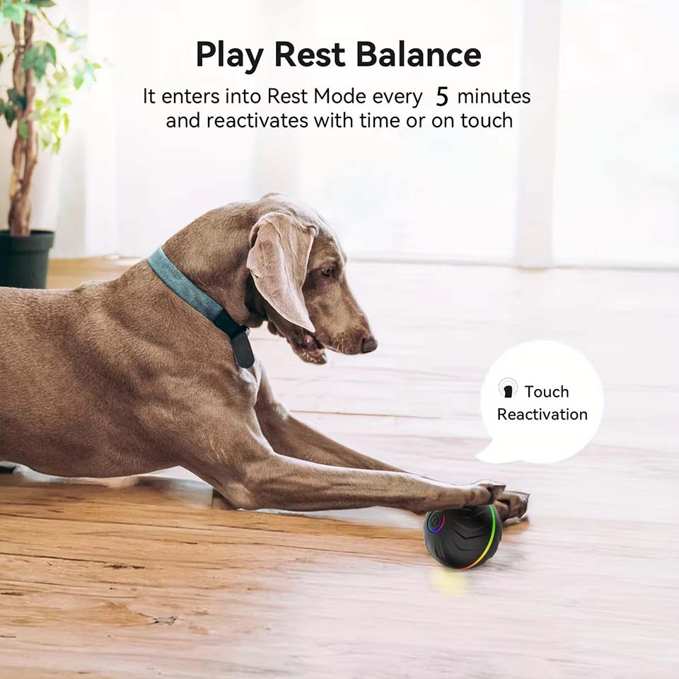 Interactive Smart Dogs Toys Ba - Automatic Moving Dog Ball recension och pris