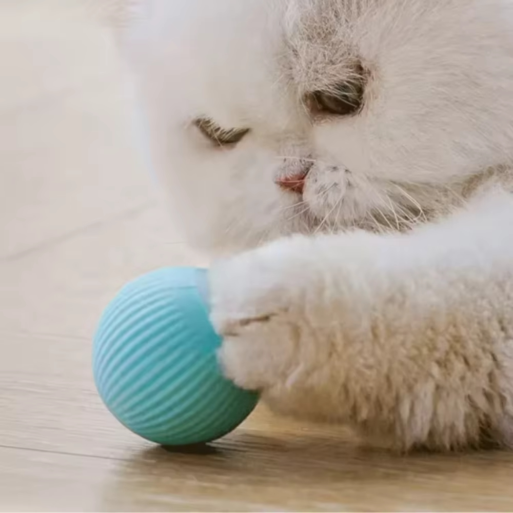 Automatic Moving Ball for Dog  - Automatic Moving Dog Ball recension och pris