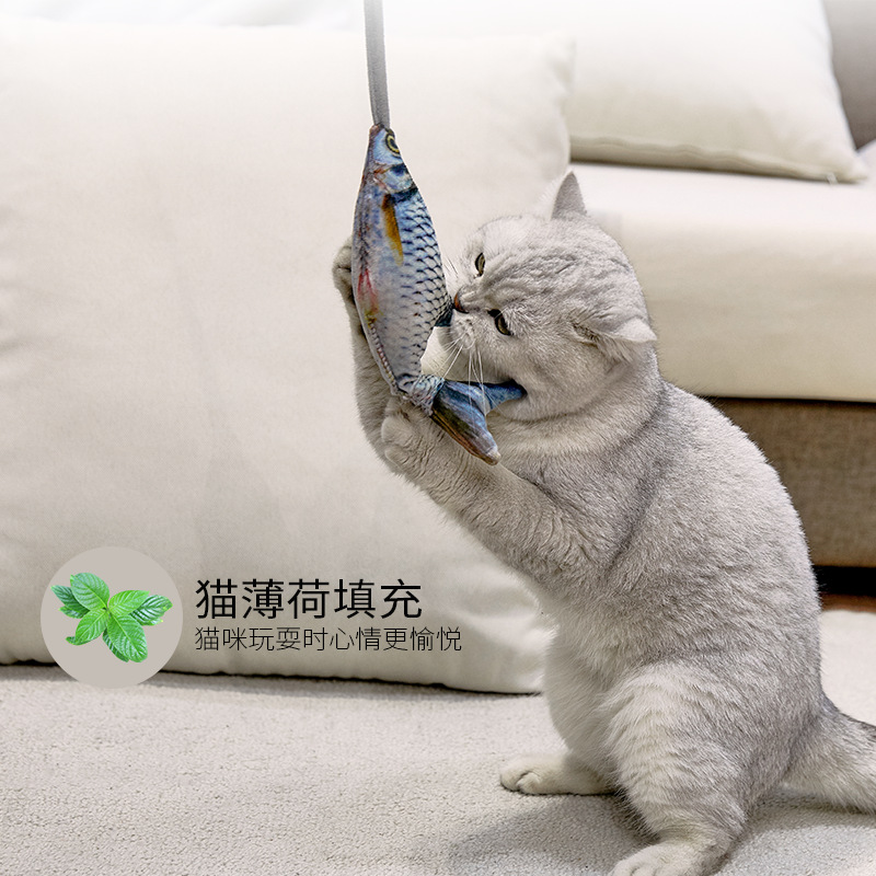 Funny Electric Moving Fish Cat - Electric Floppy Fish Dog Toy recension och pris