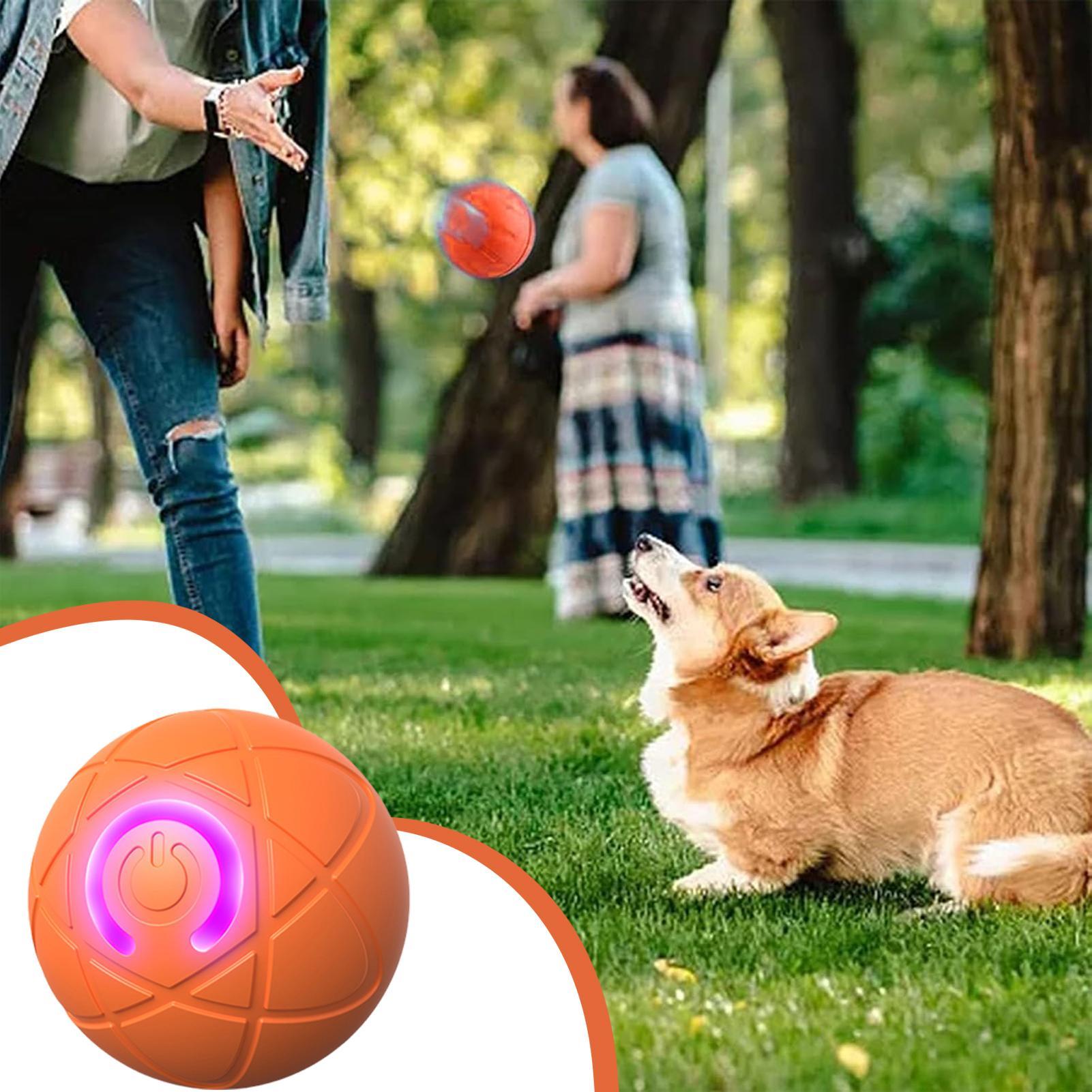 Smart Interactive Dog Toys for - Automatic Moving Dog Ball recension och pris