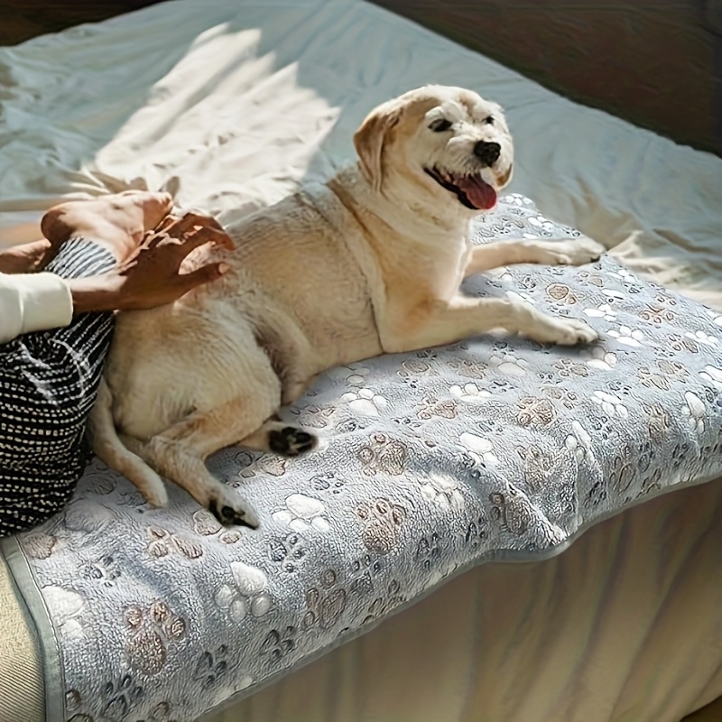 Comfortable Pet Towel Soft War - Pet Beds recension och pris