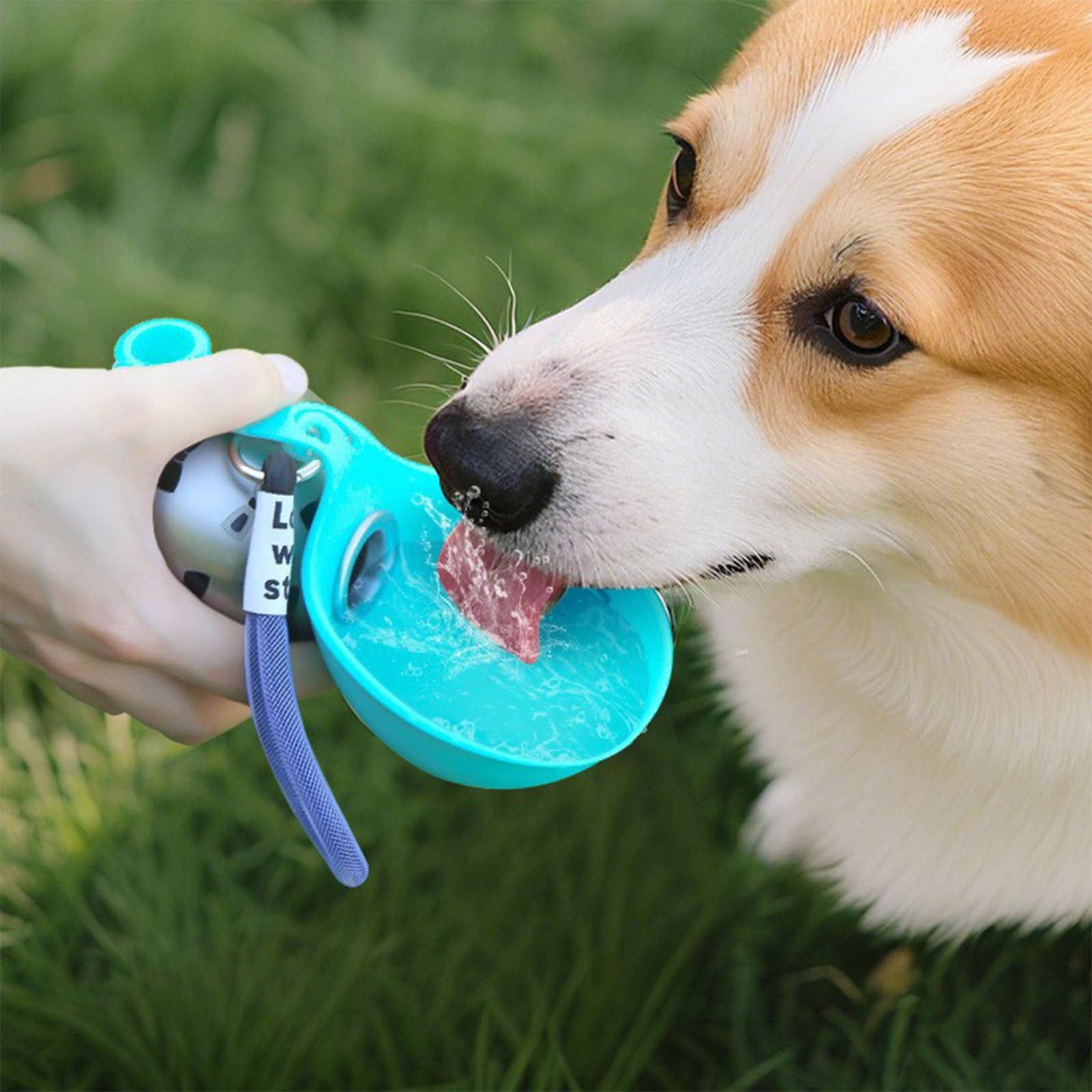 ACG Goods Portable Silicone Pe - Pet Feeders recension och pris