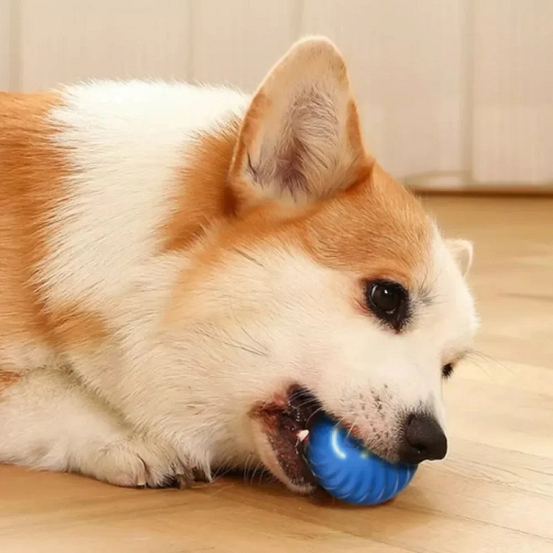 Dog Toy Ball Automatic Moving  - Automatic Moving Dog Ball recension och pris