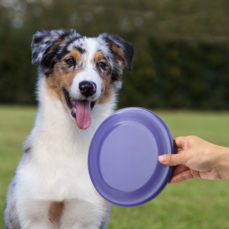 1pcs Funny Flying Saucer Dog T - Flying Disc Dog Training Toy recension och pris