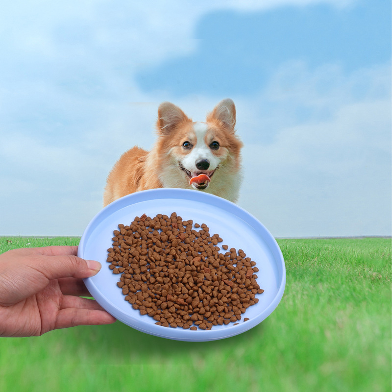 1pcs Funny Flying Saucer Dog T - Flying Disc Dog Training Toy recension och pris