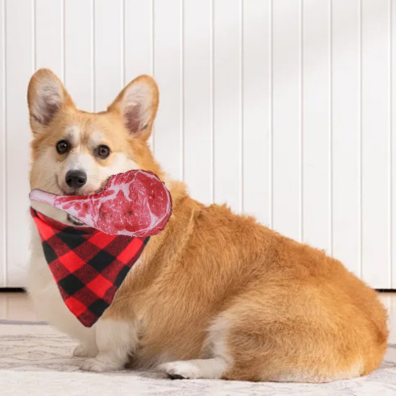 Simulated Steak Squeaky Dog To - Teeth Cleaning Dog Chew Bone recension och pris