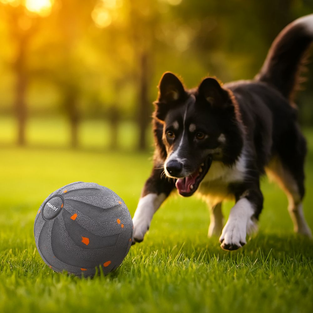 Bite Resistant Smart Dog Toy B - Automatic Moving Dog Ball recension och pris