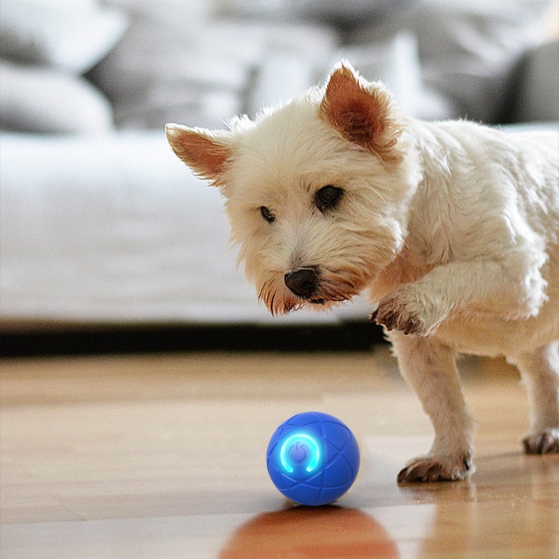 Smart Dog Toy Ball USB Automat - Automatic Moving Dog Ball recension och pris