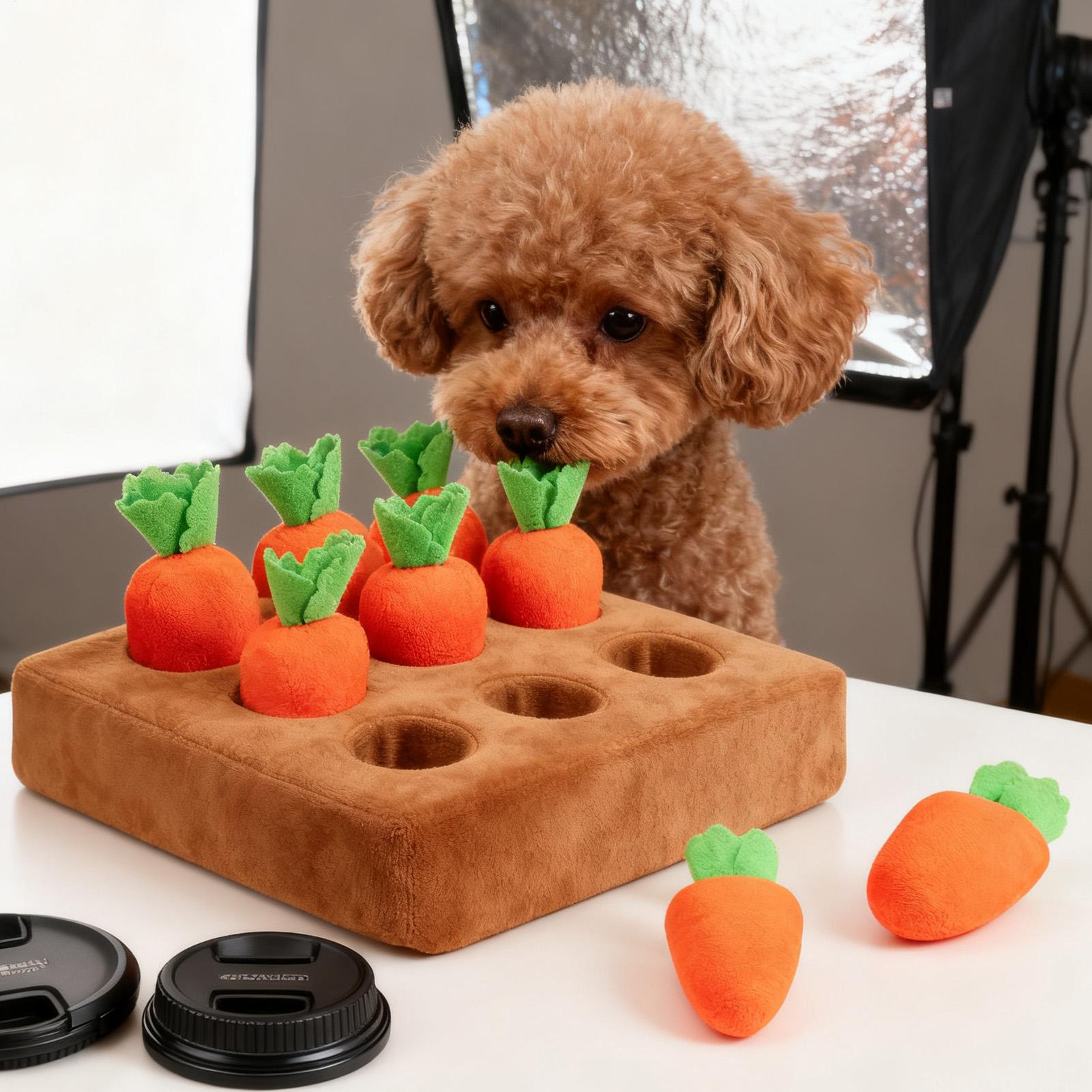 Snuffle Mat for Puppies Funny  - Snuffle Mat For Dogs recension och pris