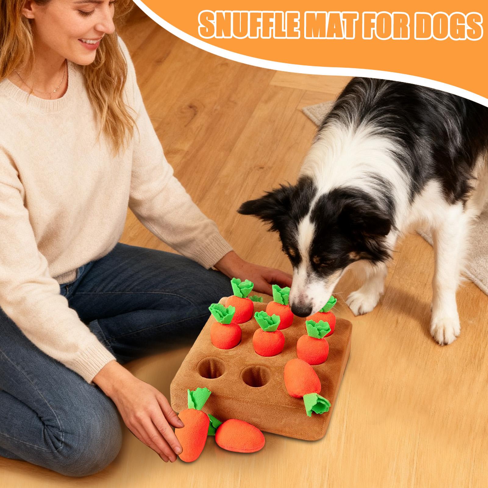 Snuffle Mat for Puppies Funny  - Snuffle Mat For Dogs recension och pris