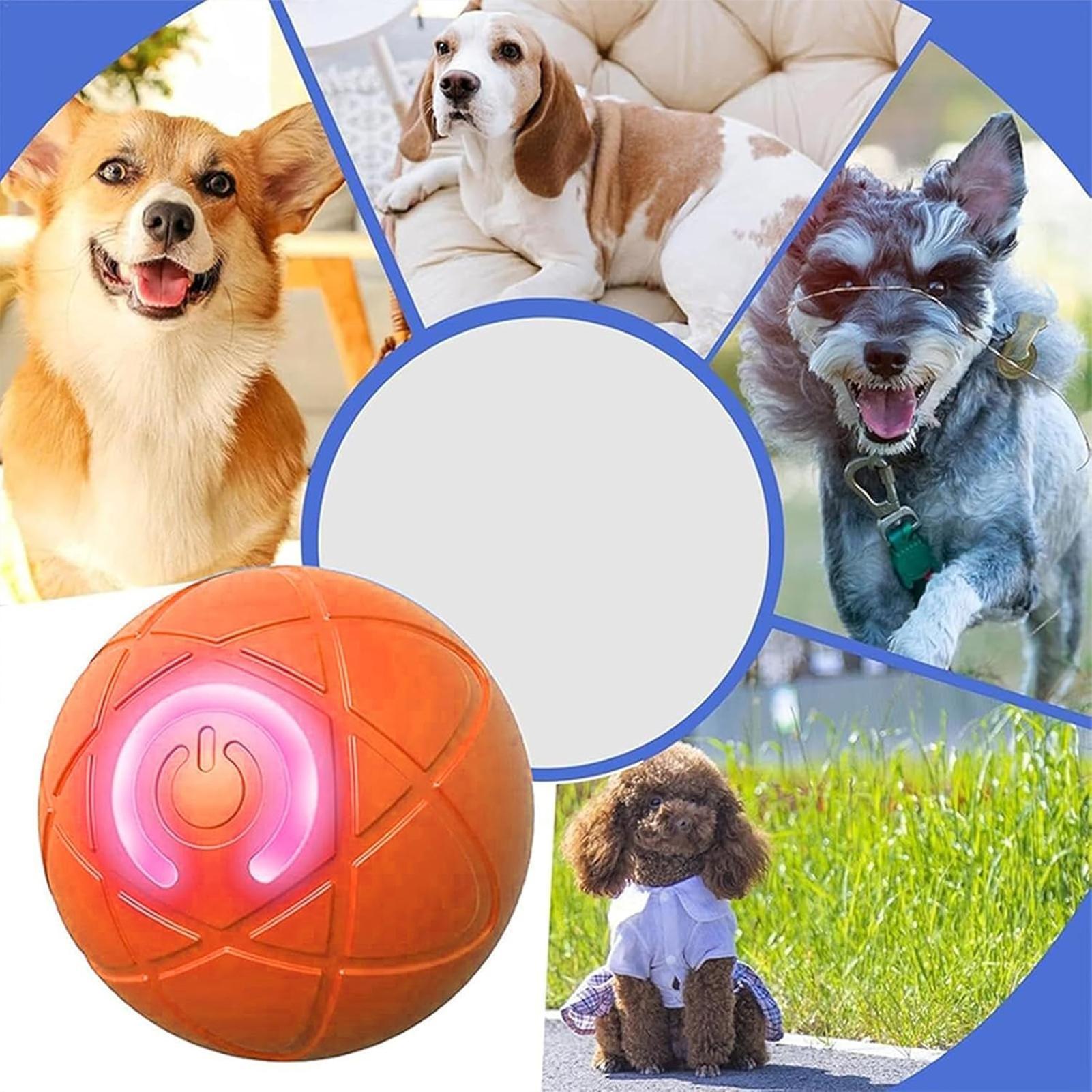 Smart Dog Toys Ball Electronic - Automatic Moving Dog Ball recension och pris