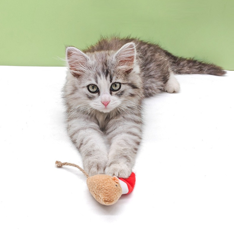 5pcs Cat Push Chew Toy Catnip  - Catnip Interactive Plush Mouse recension och pris