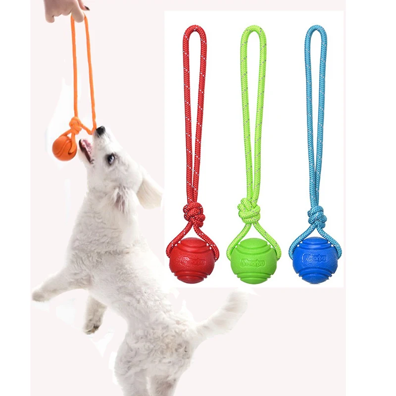 Dog Training Ball on Rope Cott - Suction Cup Dog Tug Toy recension och pris