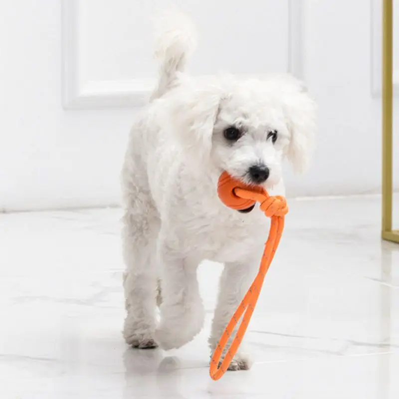 Dog Training Ball on Rope Cott - Suction Cup Dog Tug Toy recension och pris