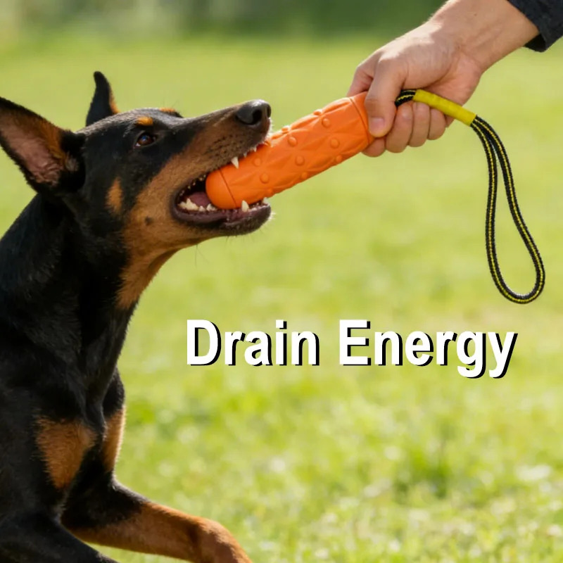Indestructible Dog Chew Toy EV - Dog Rope Toy Aggressive Chewers recension och pris