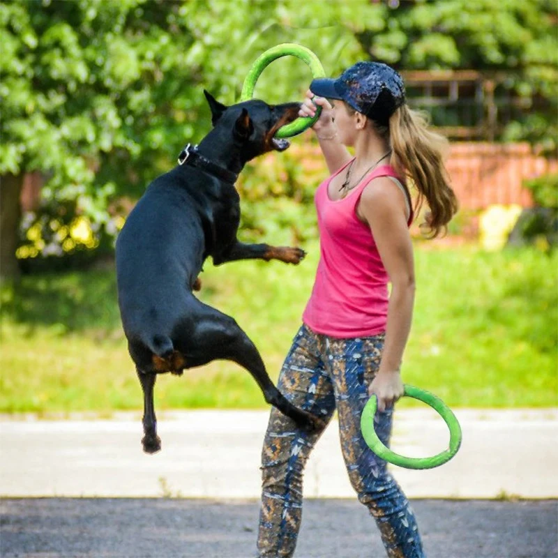 Dog Toys Pet Flying Discs EVA  - Suction Cup Dog Tug Toy recension och pris