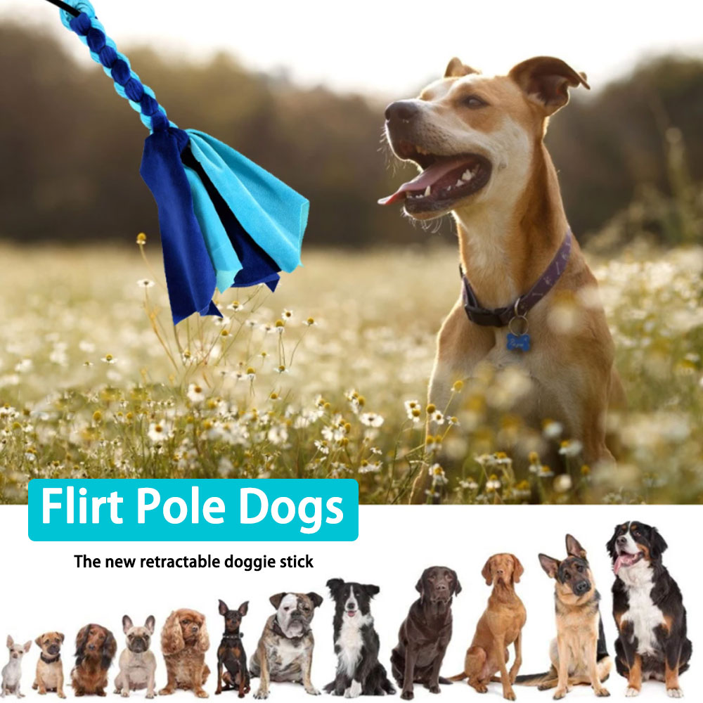 Retractable Dog Stick Interact - Interactive Squeaky Plush Dog Toy recension och pris