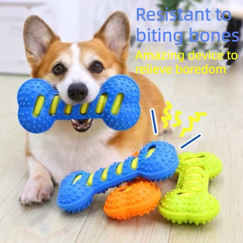 Durable Rubber Dog Chew Toy Sq - Teeth Cleaning Dog Chew Bone recension och pris