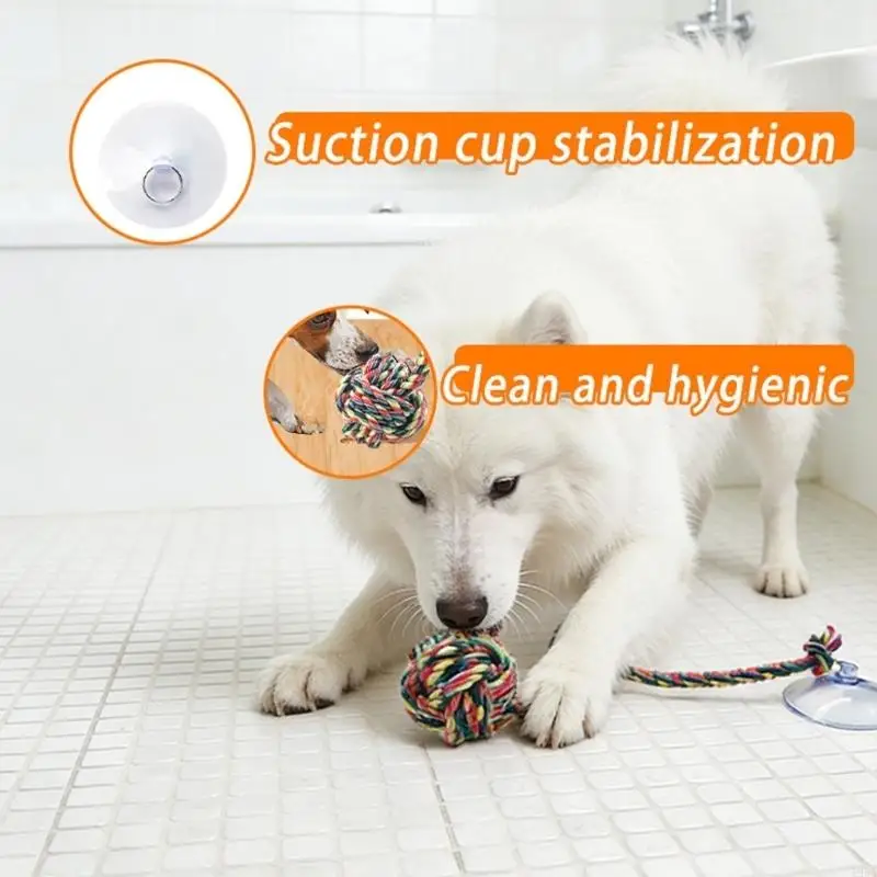 Interactive Dog Chewing Toy Tu - Suction Cup Dog Tug Toy recension och pris
