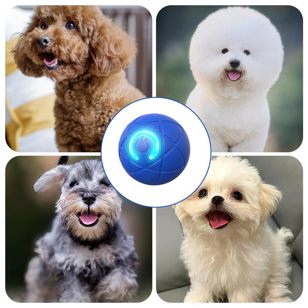 Electronic Interactive Pet Toy - Automatic Moving Dog Ball recension och pris