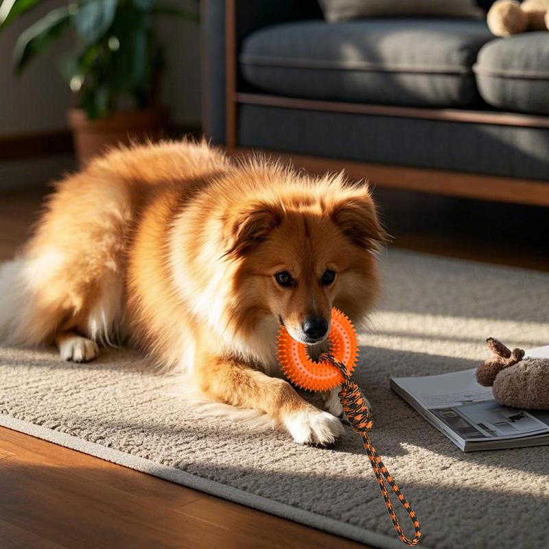 Squeaky Toys For Dogs Spiky Ri - Dog Rope Toy Aggressive Chewers recension och pris