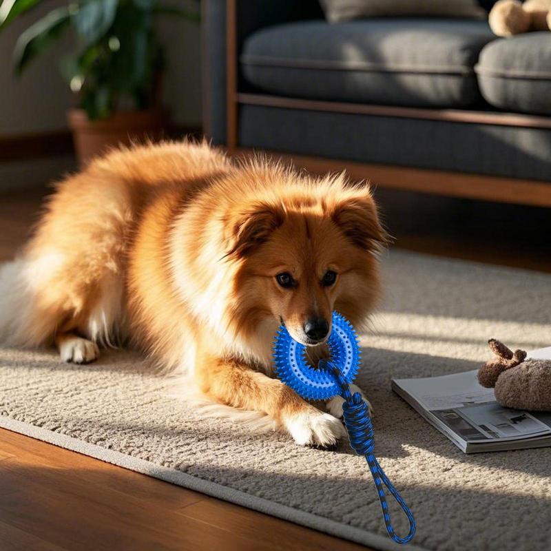 Squeaky Toys For Dogs Spiky Ri - Dog Rope Toy Aggressive Chewers recension och pris